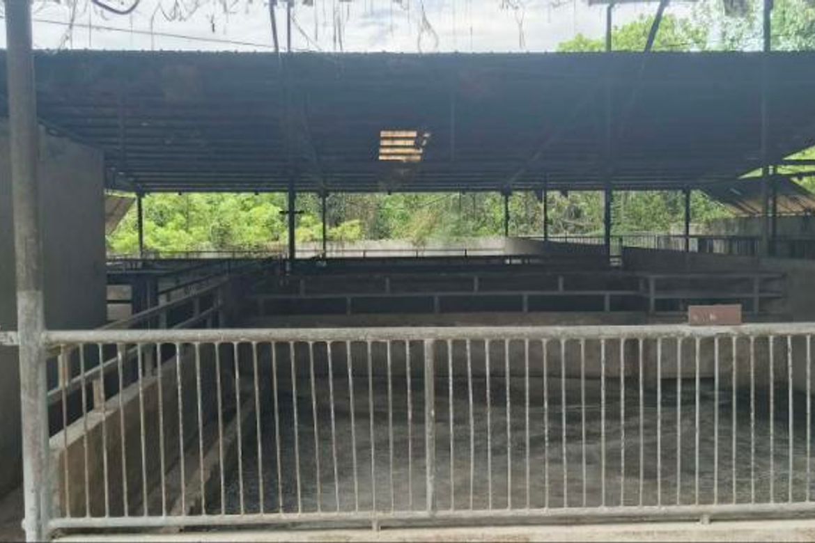 Land for Sale in Panghayaan, Ibaan, Batangas – photo 7