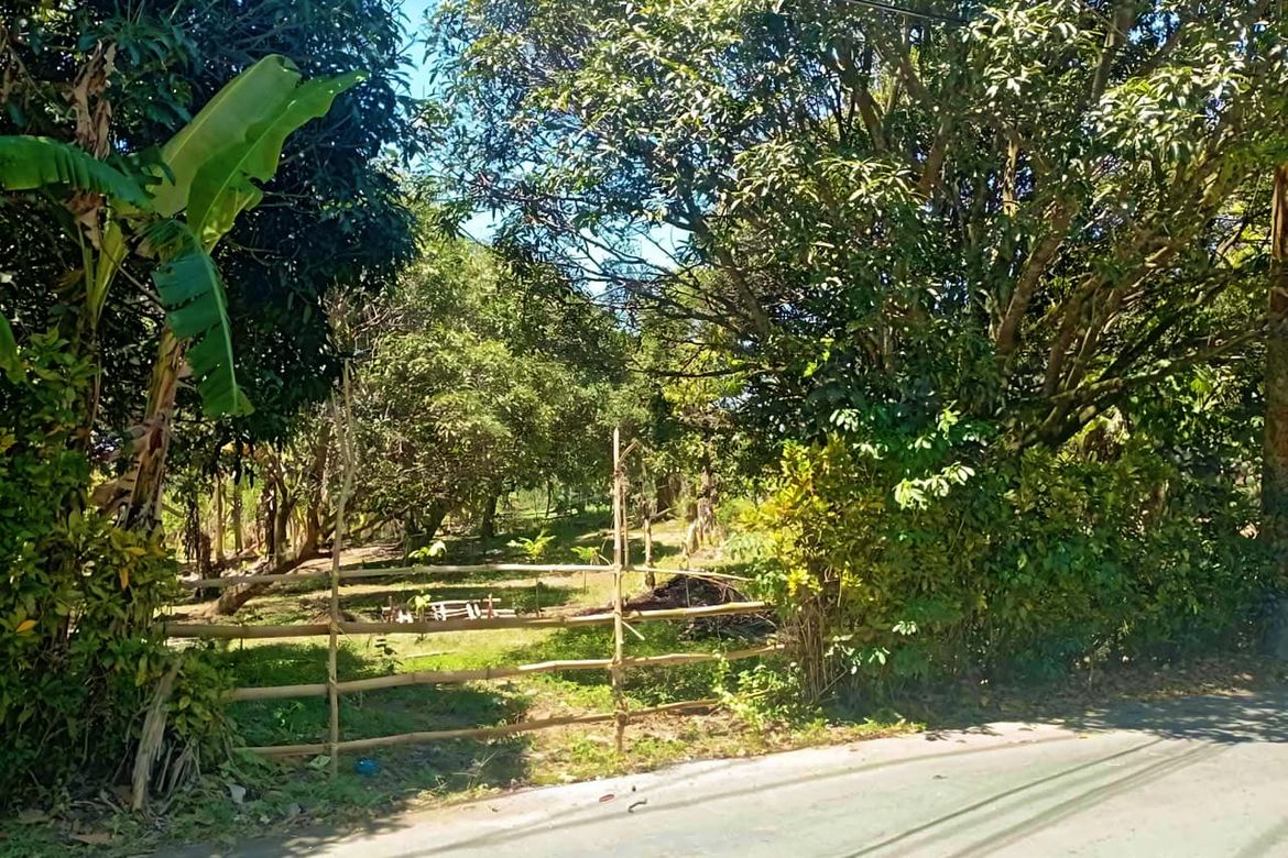Land for Sale in Pangil, Amadeo, Cavite – photo 5