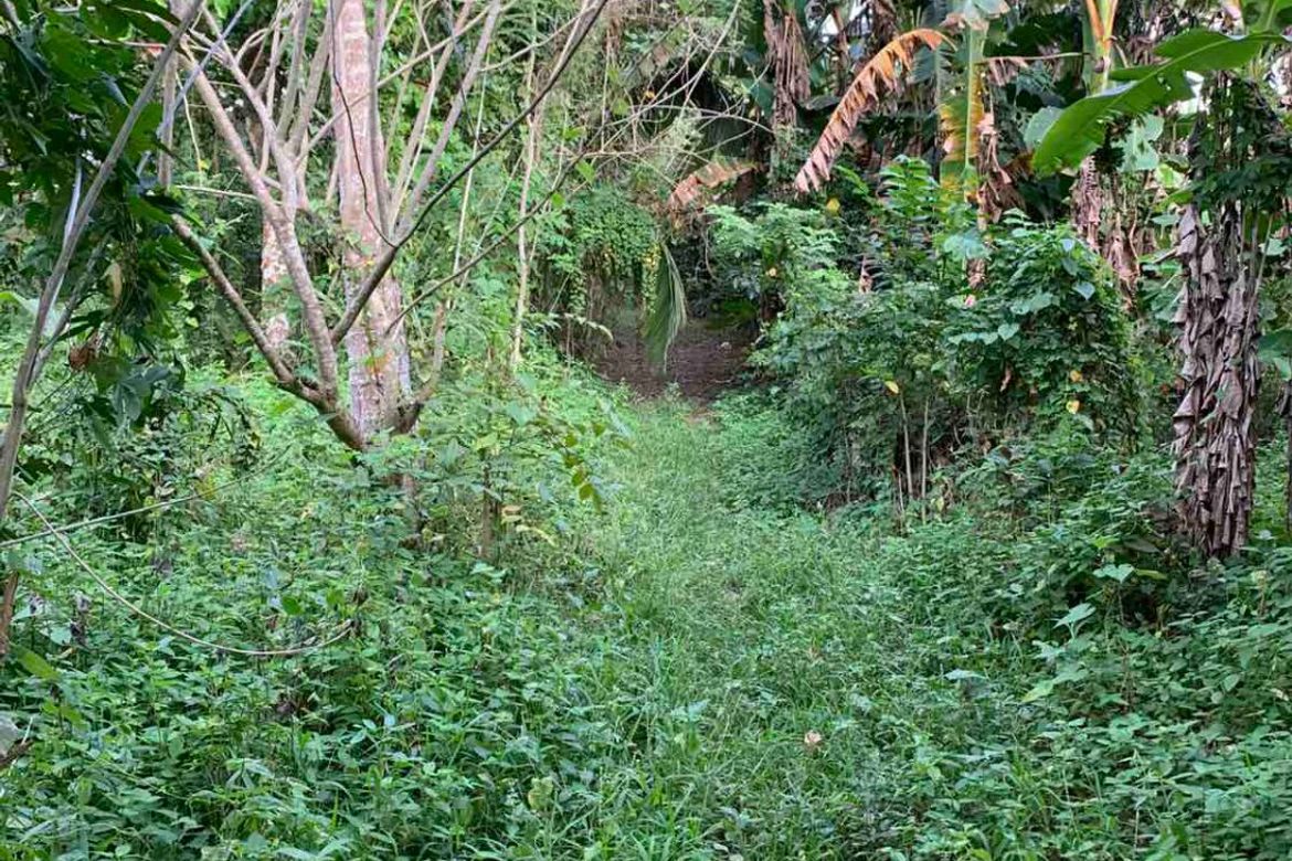 Land for Sale in Pangil, Amadeo, Cavite – photo 6
