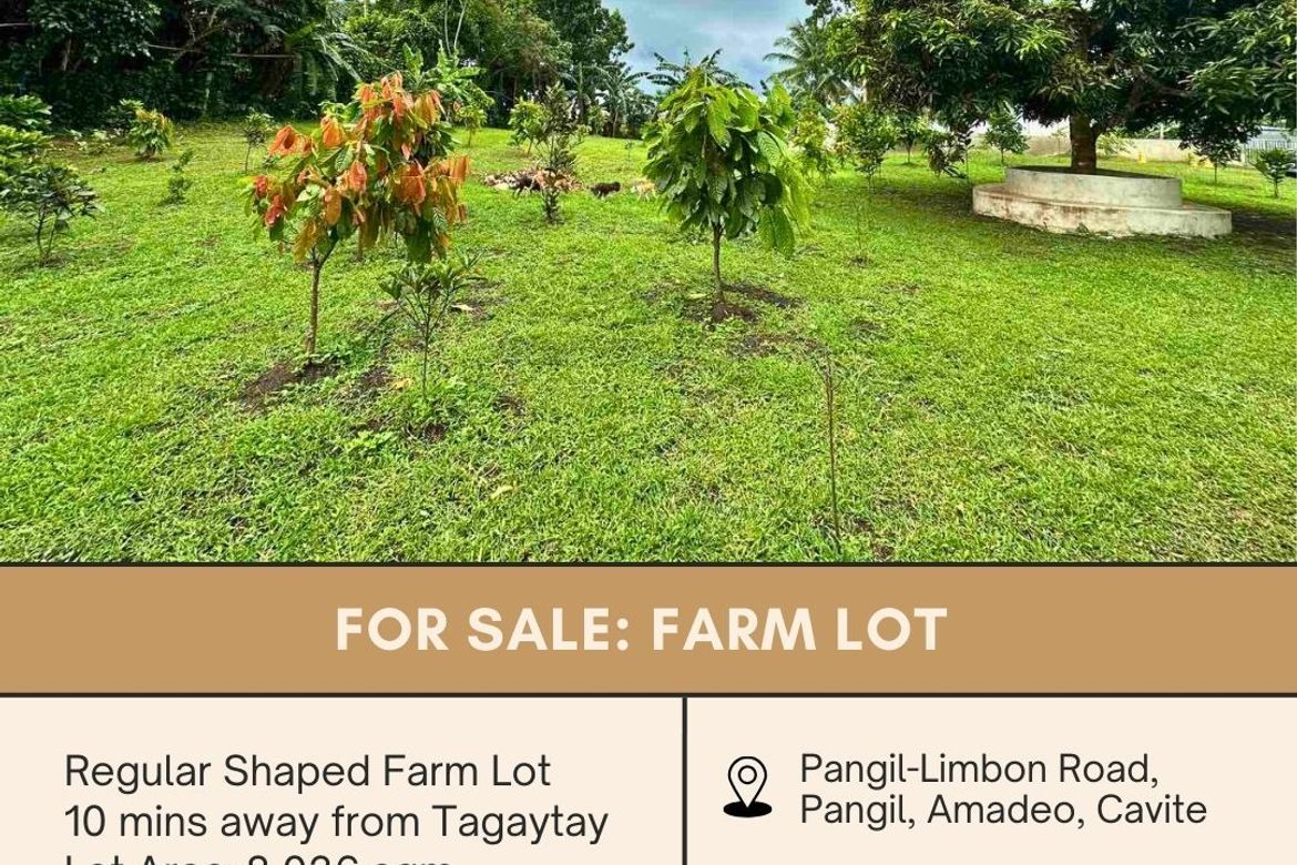 Land for Sale in Pangil, Amadeo, Cavite