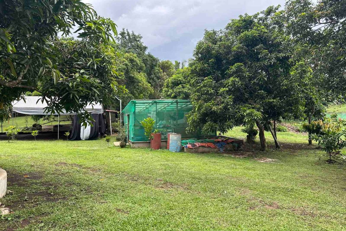 Land for Sale in Pangil, Amadeo, Cavite – photo 3