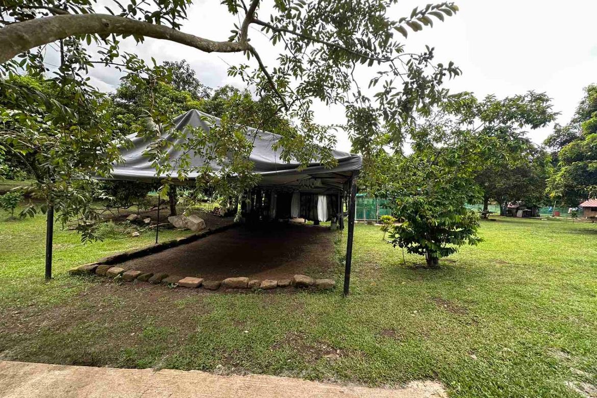 Land for Sale in Pangil, Amadeo, Cavite – photo 4