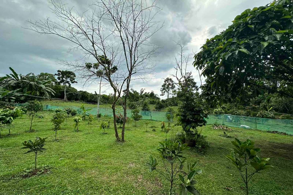 Land for Sale in Pangil, Amadeo, Cavite – photo 5