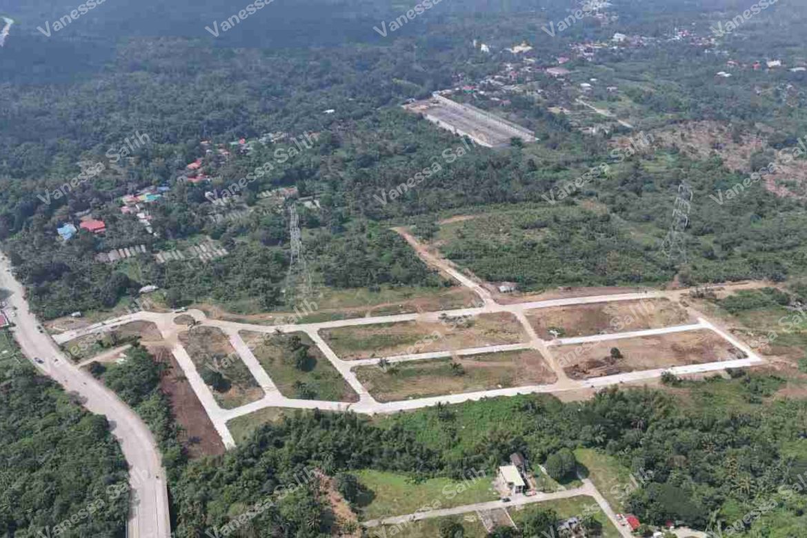 Land for Sale in Pangil, Amadeo, Cavite – photo 3