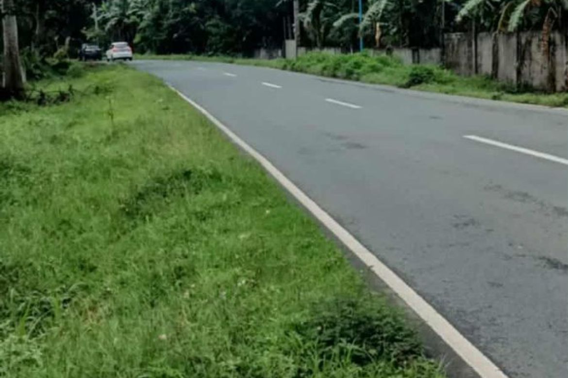 Land for Sale in Pangil, Amadeo, Cavite