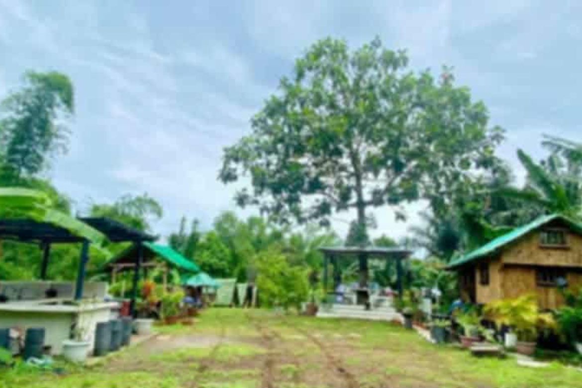 Land for Sale in Pangil, Amadeo, Cavite – photo 2