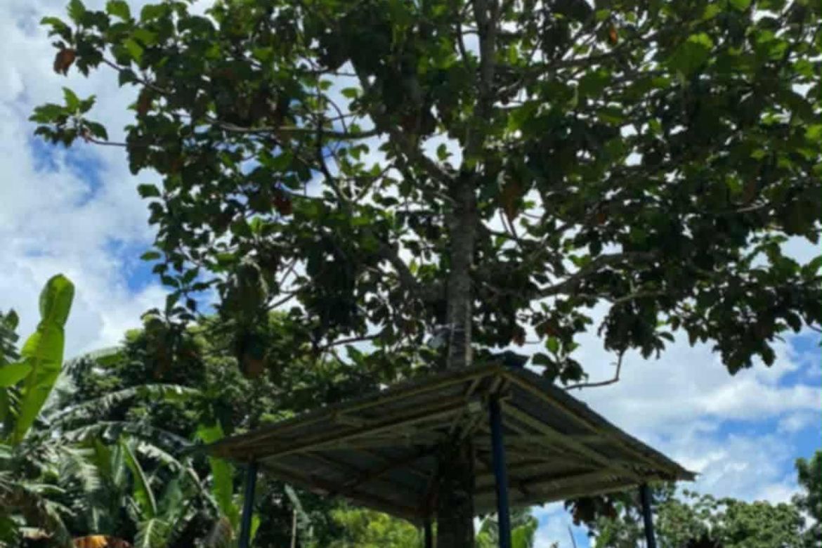 Land for Sale in Pangil, Amadeo, Cavite – photo 8