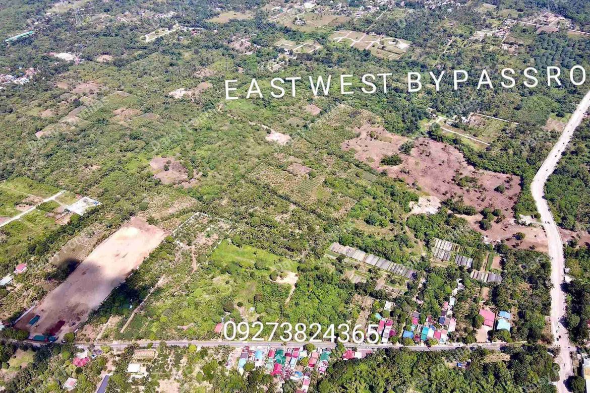 Land for Sale in Pangil, Amadeo, Cavite – photo 2