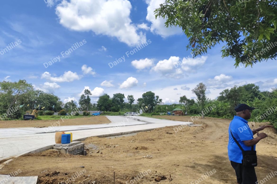 Land for Sale in Pangil, Amadeo, Cavite – photo 5
