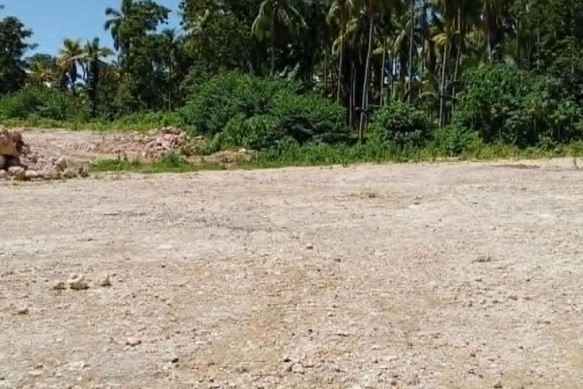 Land for Sale in Pangubatan, Samal, Davao del Norte – photo 3