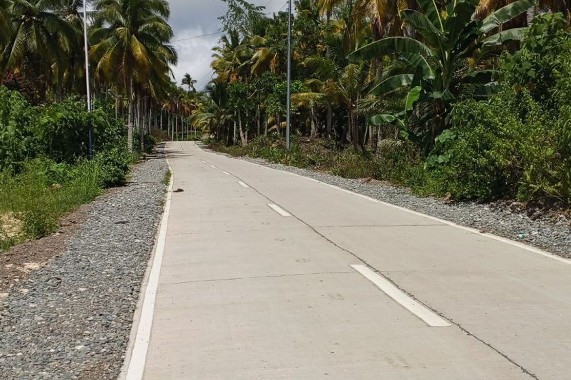 Land for Sale in Pangubatan, Samal, Davao del Norte – photo 2