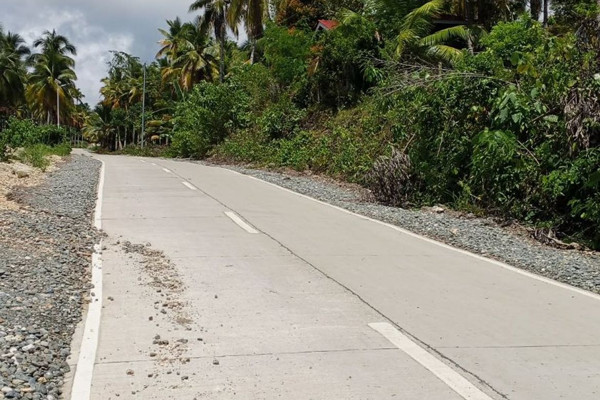 Land for Sale in Pangubatan, Samal, Davao del Norte – photo 4