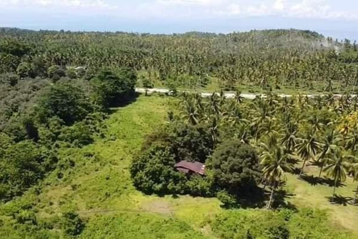Land for Sale in Pangubatan, Samal, Davao del Norte – photo 2