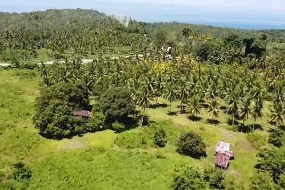 Land for Sale in Pangubatan, Samal, Davao del Norte – photo 3