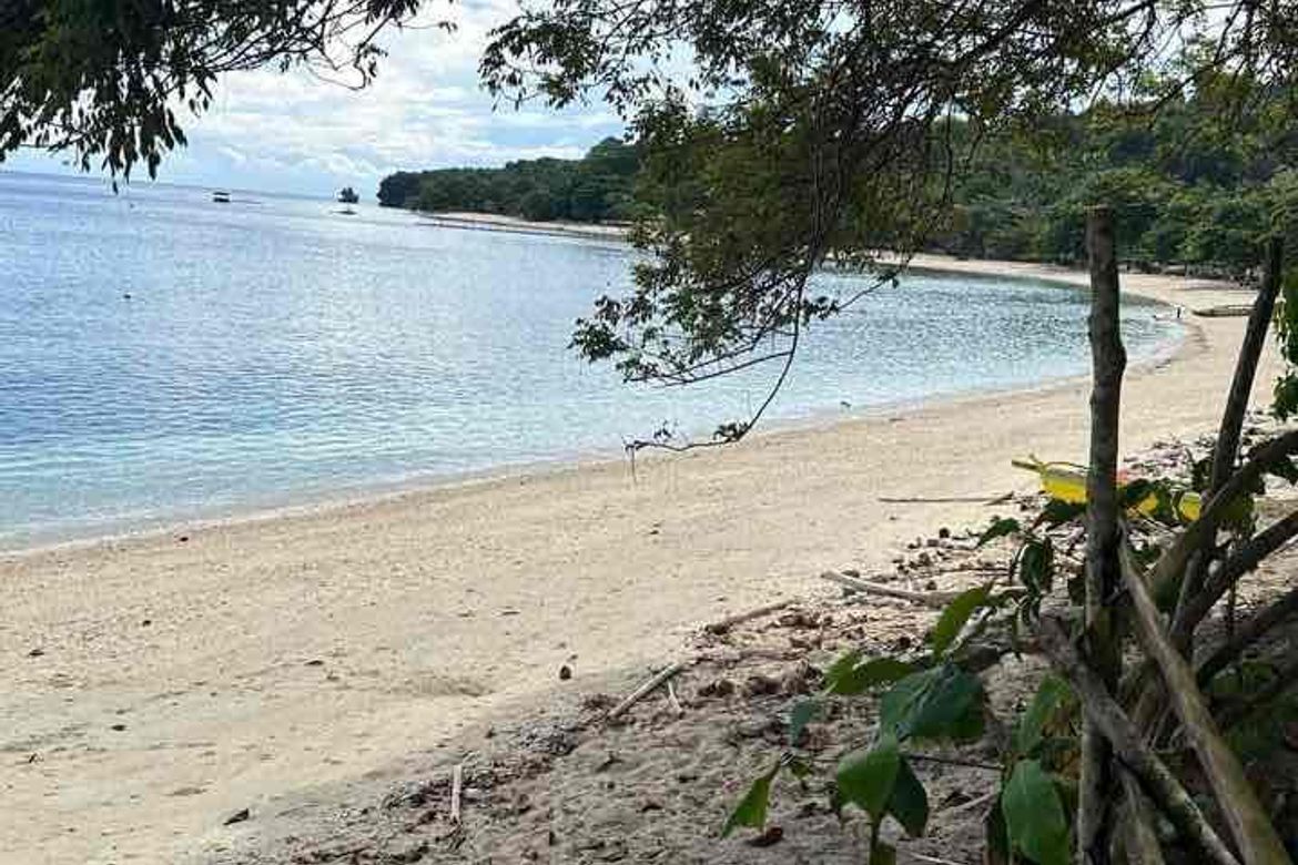 Land for Sale in Pangubatan, Samal, Davao del Norte – photo 4