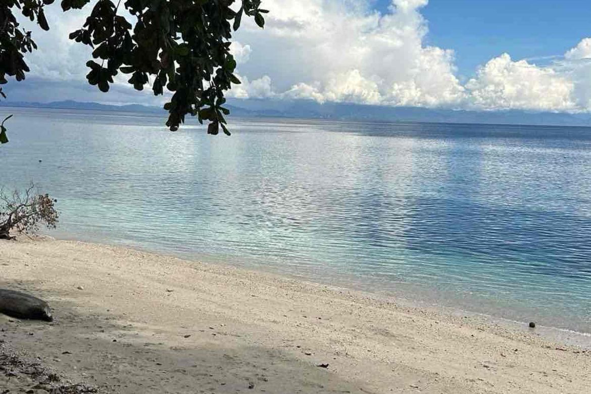 Land for Sale in Pangubatan, Samal, Davao del Norte – photo 6