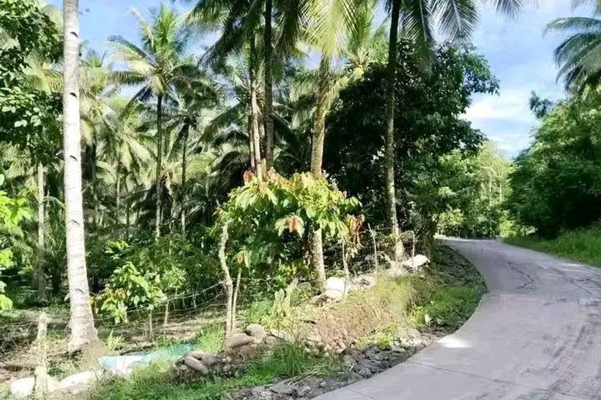Land for Sale in Pangyan, Davao City, Davao del Sur