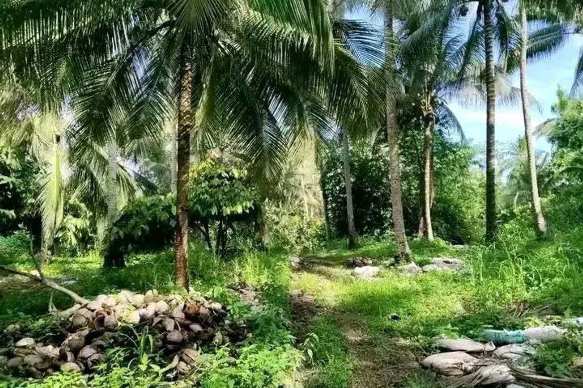 Land for Sale in Pangyan, Davao City, Davao del Sur – photo 4