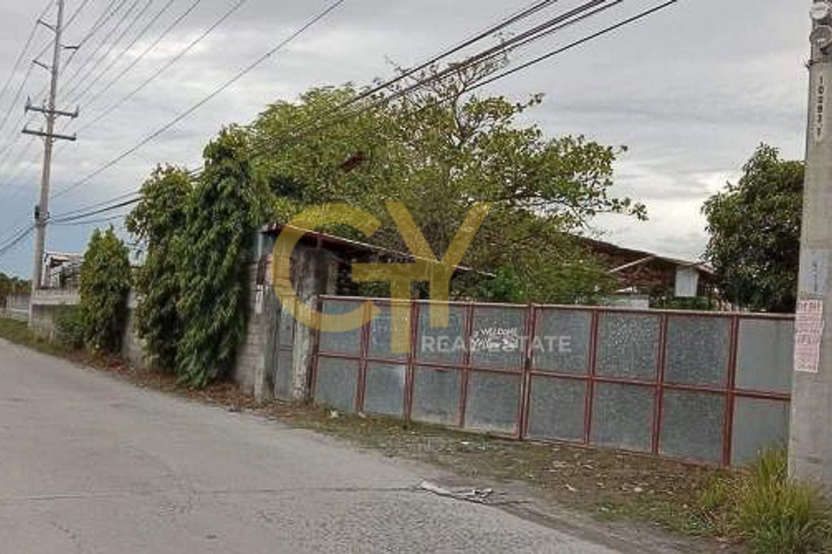 Land for Sale in Panipuan, Mexico, Pampanga – photo 5