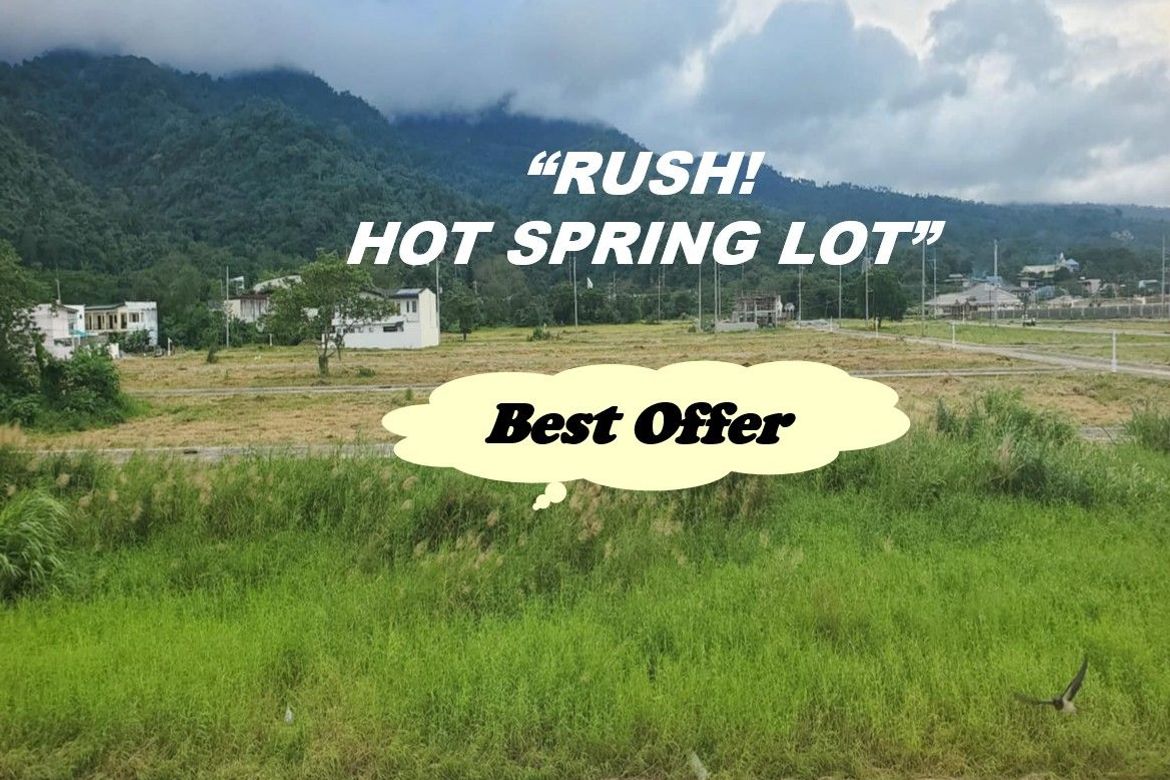 Land for Sale in Pansol, Calamba, Laguna