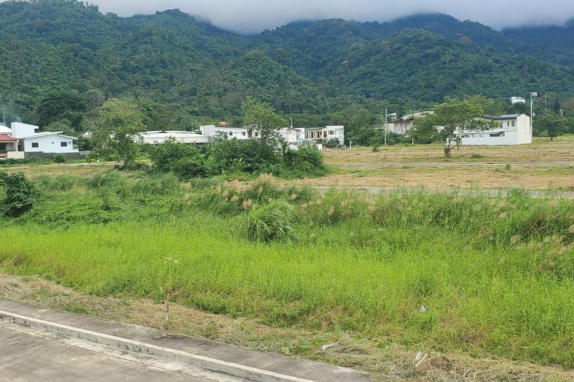 Land for Sale in Pansol, Calamba, Laguna – photo 2