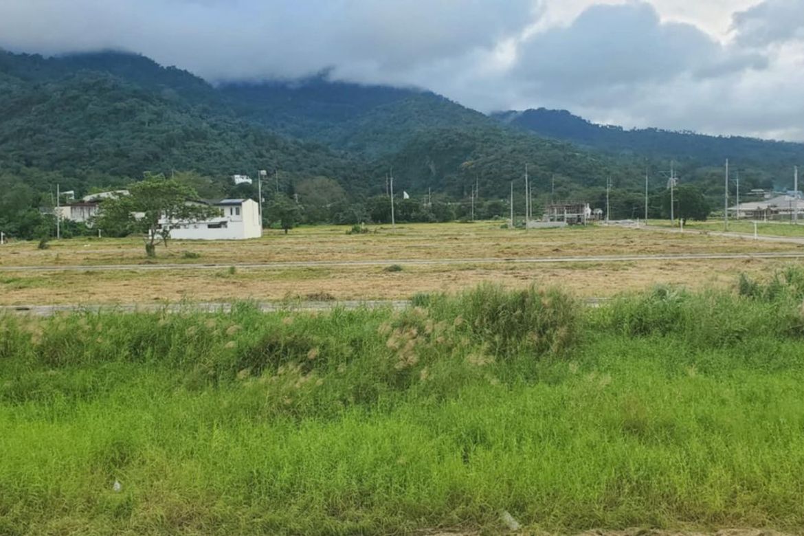 Land for Sale in Pansol, Calamba, Laguna – photo 3