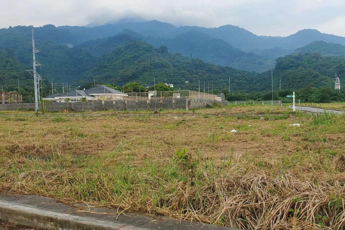 Land for Sale in Pansol, Calamba, Laguna – photo 5