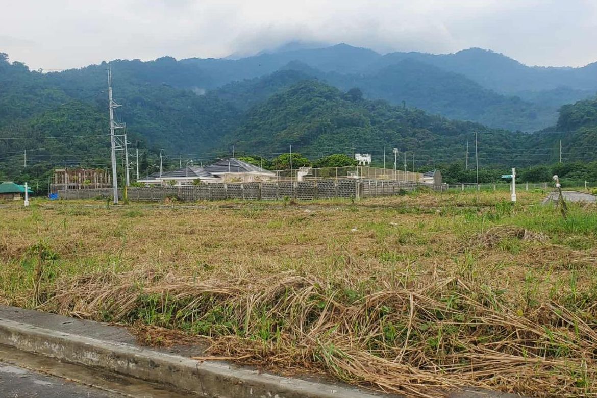 Land for Sale in Pansol, Calamba, Laguna – photo 6