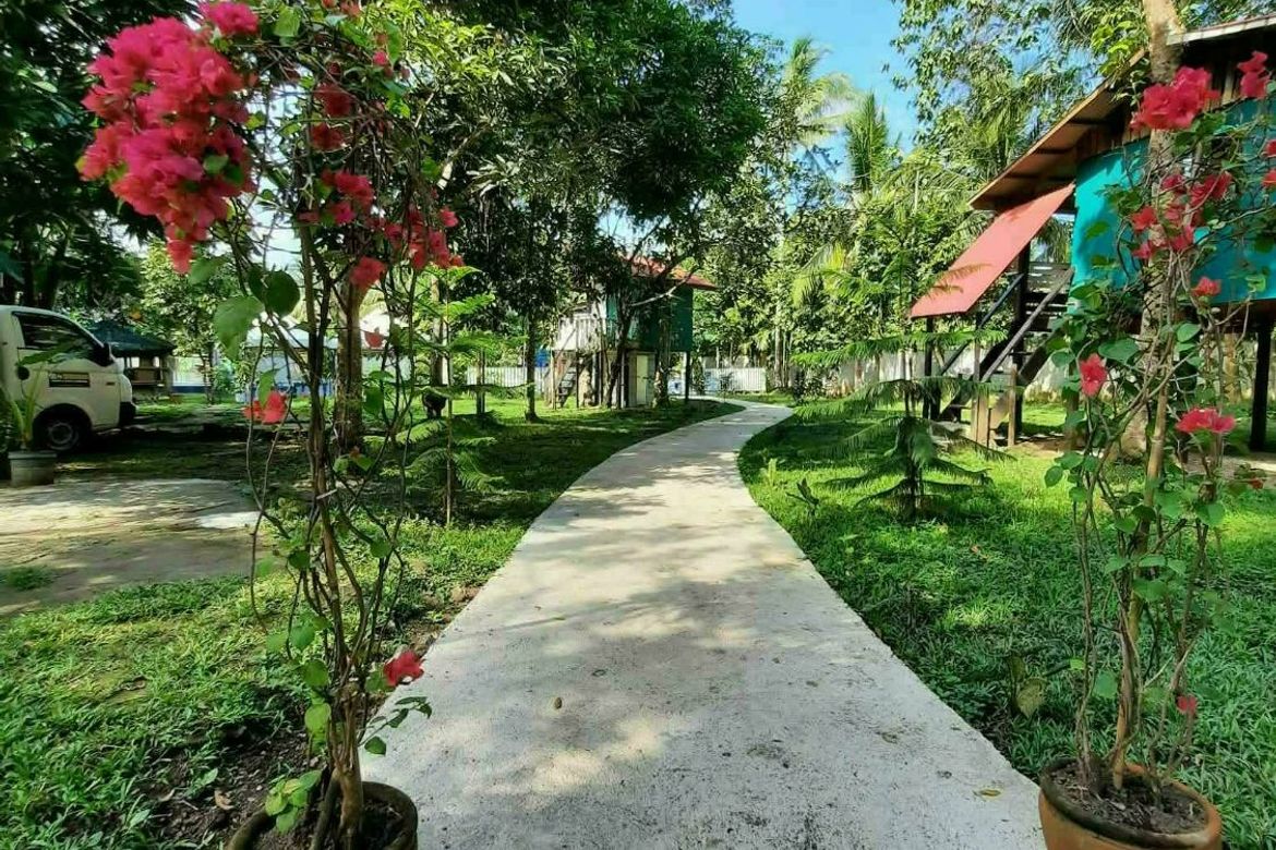 Land for Sale in Pansol, Calamba, Laguna – photo 8