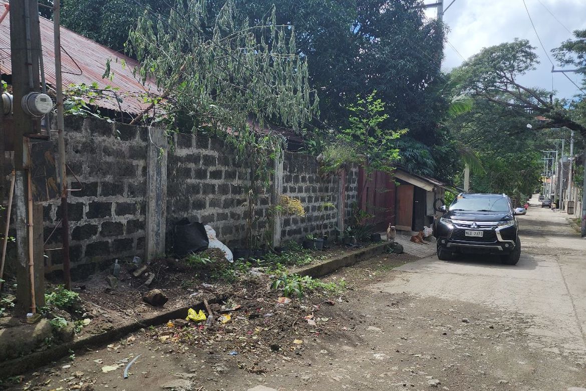 Land for Sale in Pansol, Calamba, Laguna – photo 7