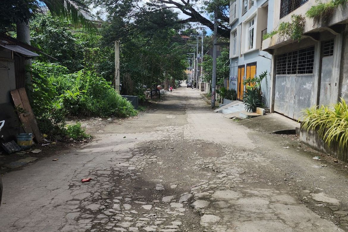 Land for Sale in Pansol, Calamba, Laguna – photo 8