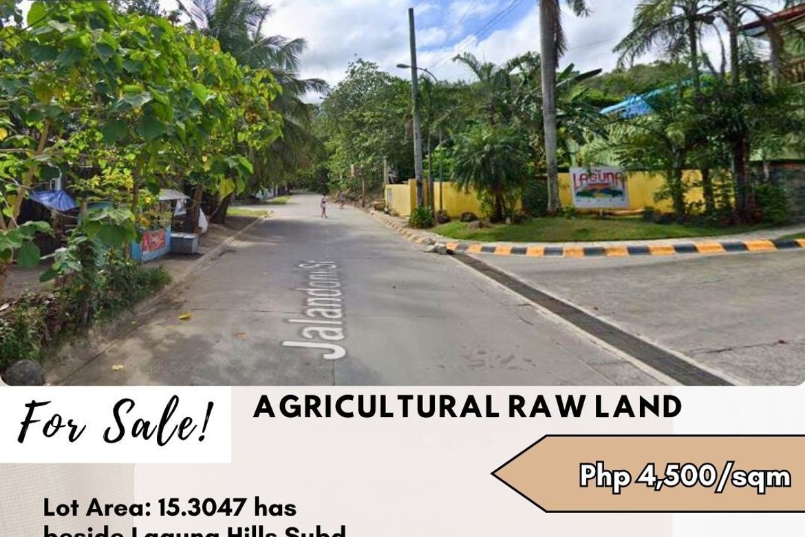 Land for Sale in Pansol, Calamba, Laguna
