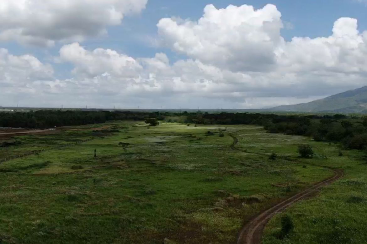 Land for Sale in Pansol, Padre Garcia, Batangas – photo 4