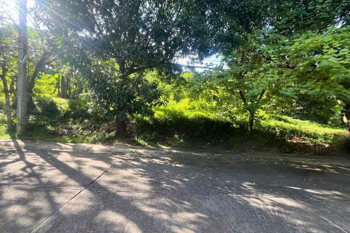 Land for Sale in Pansol, Quezon City, Metro Manila