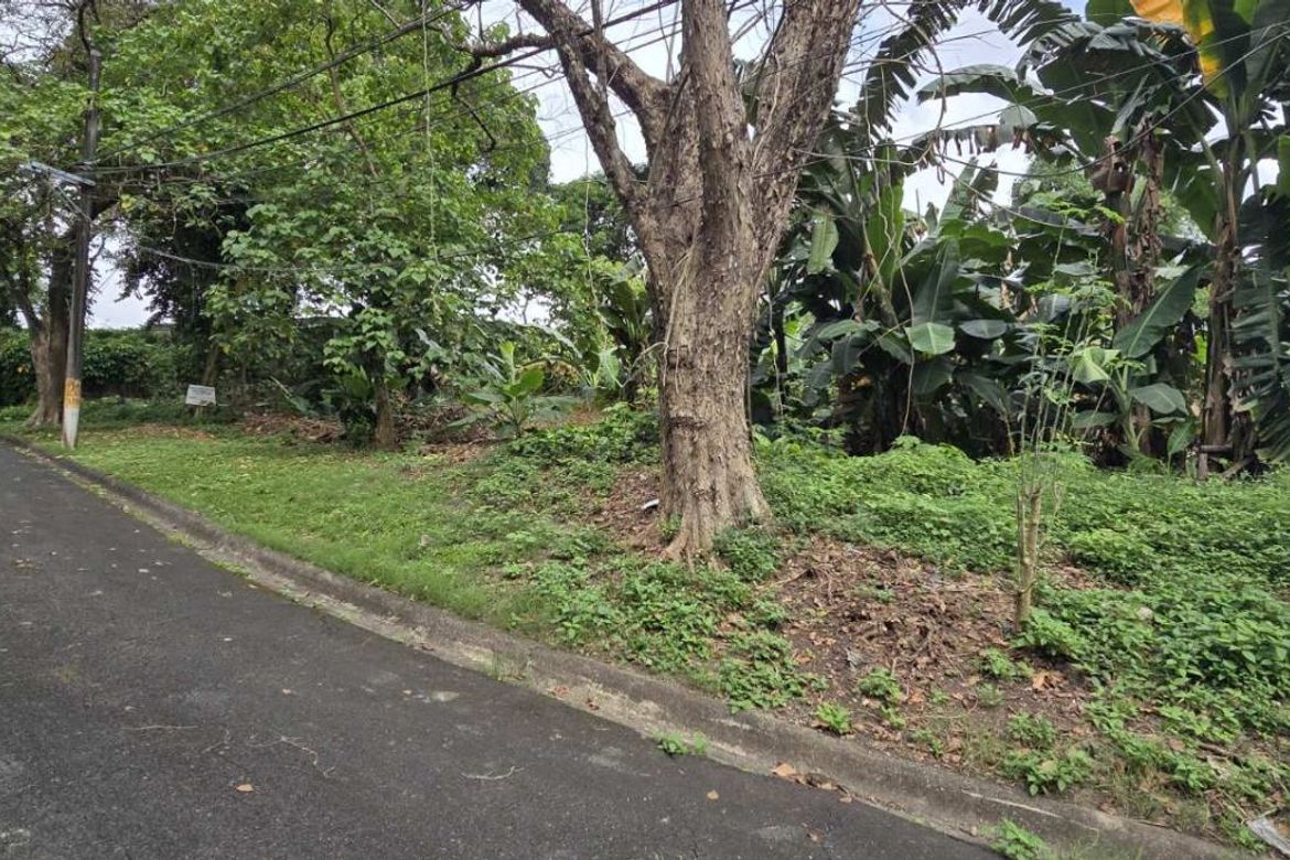 Land for Sale in Pansol, Quezon City, Metro Manila – photo 2