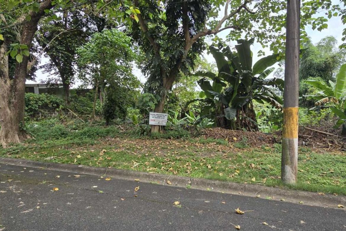 Land for Sale in Pansol, Quezon City, Metro Manila – photo 3