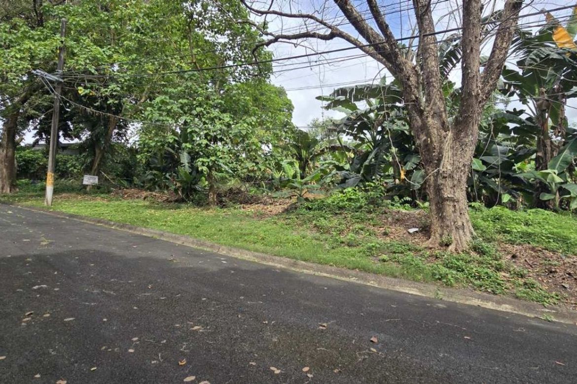 Land for Sale in Pansol, Quezon City, Metro Manila – photo 4
