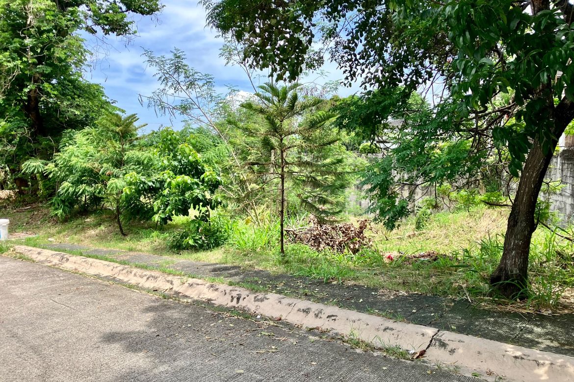 Land for Sale in Pansol, Quezon City, Metro Manila