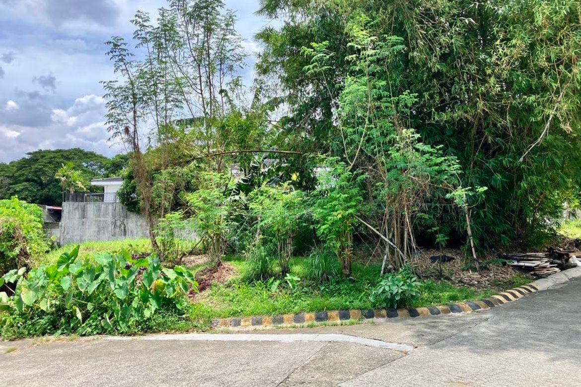 Land for Sale in Pansol, Quezon City, Metro Manila – photo 3