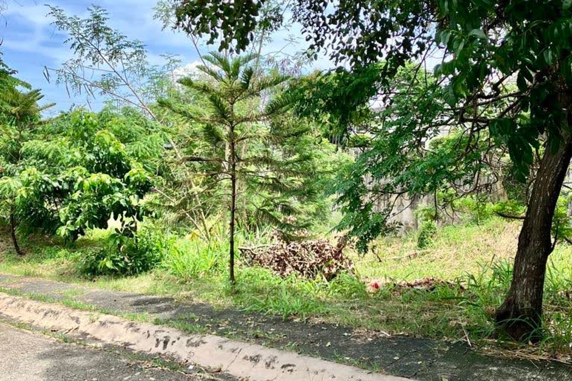 Land for Sale in Pansol, Quezon City, Metro Manila – photo 6
