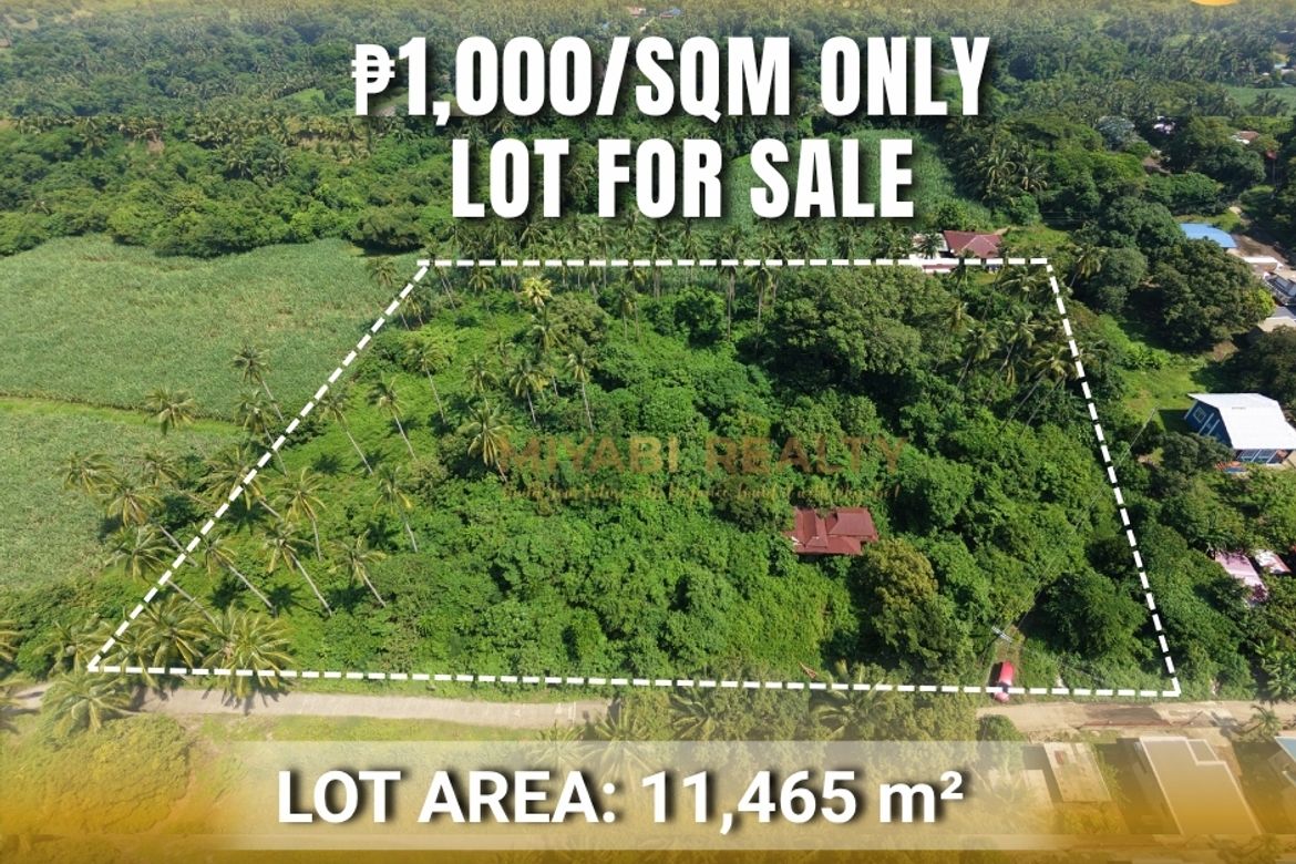 Land for Sale in Pantay, Calaca, Batangas