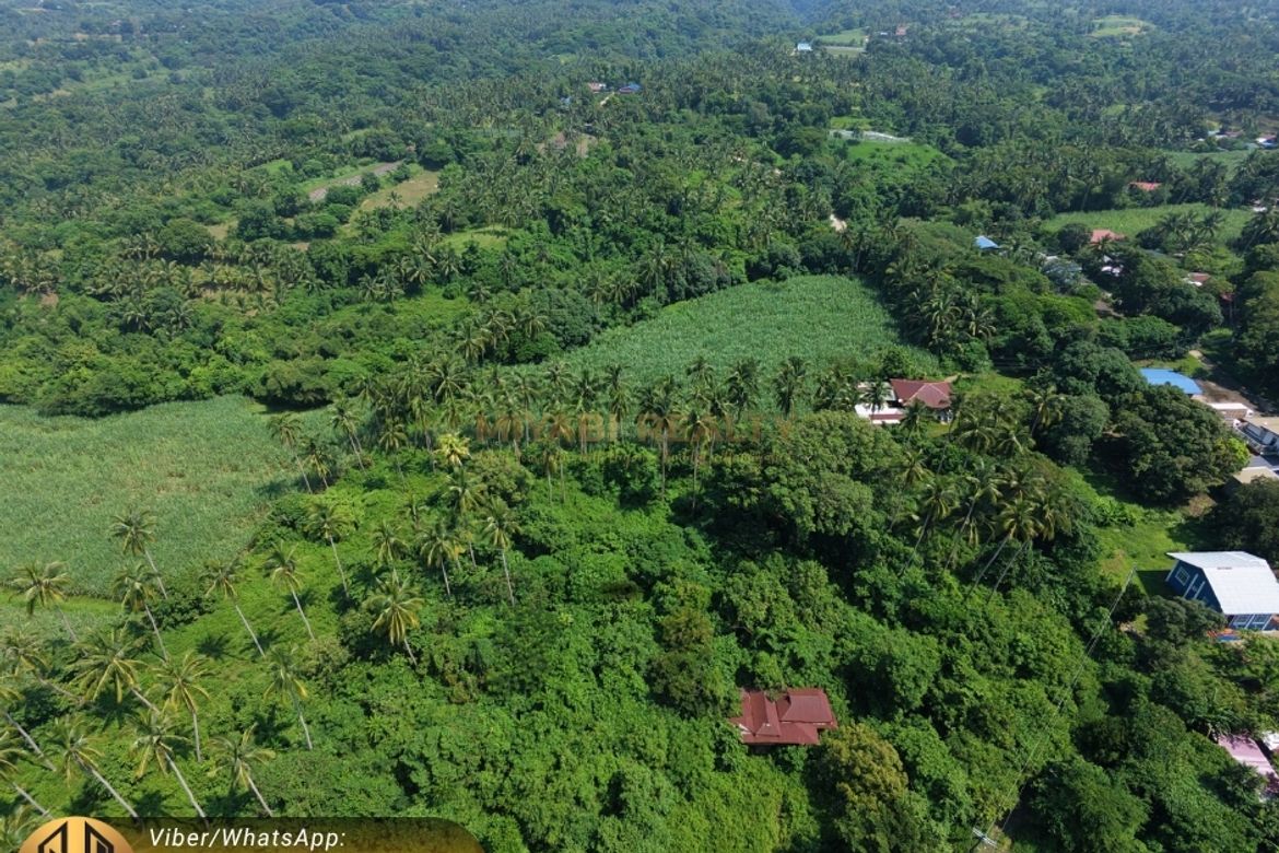 Land for Sale in Pantay, Calaca, Batangas – photo 2