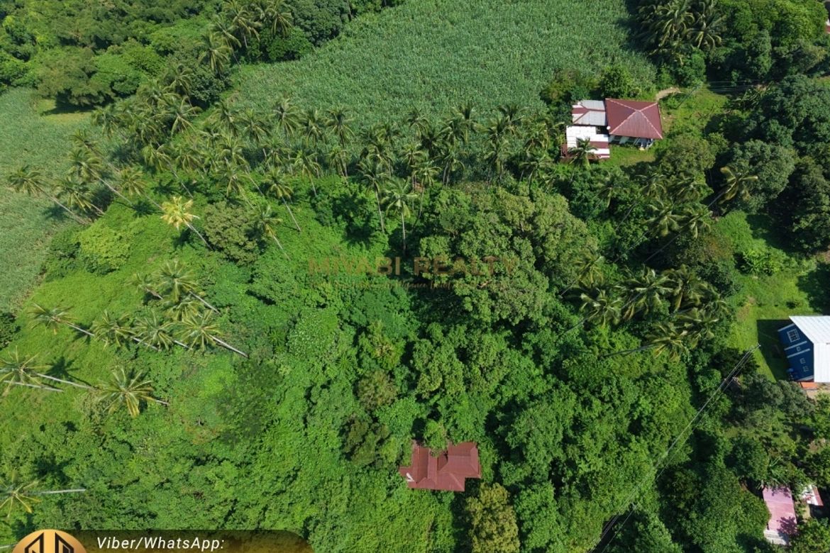 Land for Sale in Pantay, Calaca, Batangas – photo 3