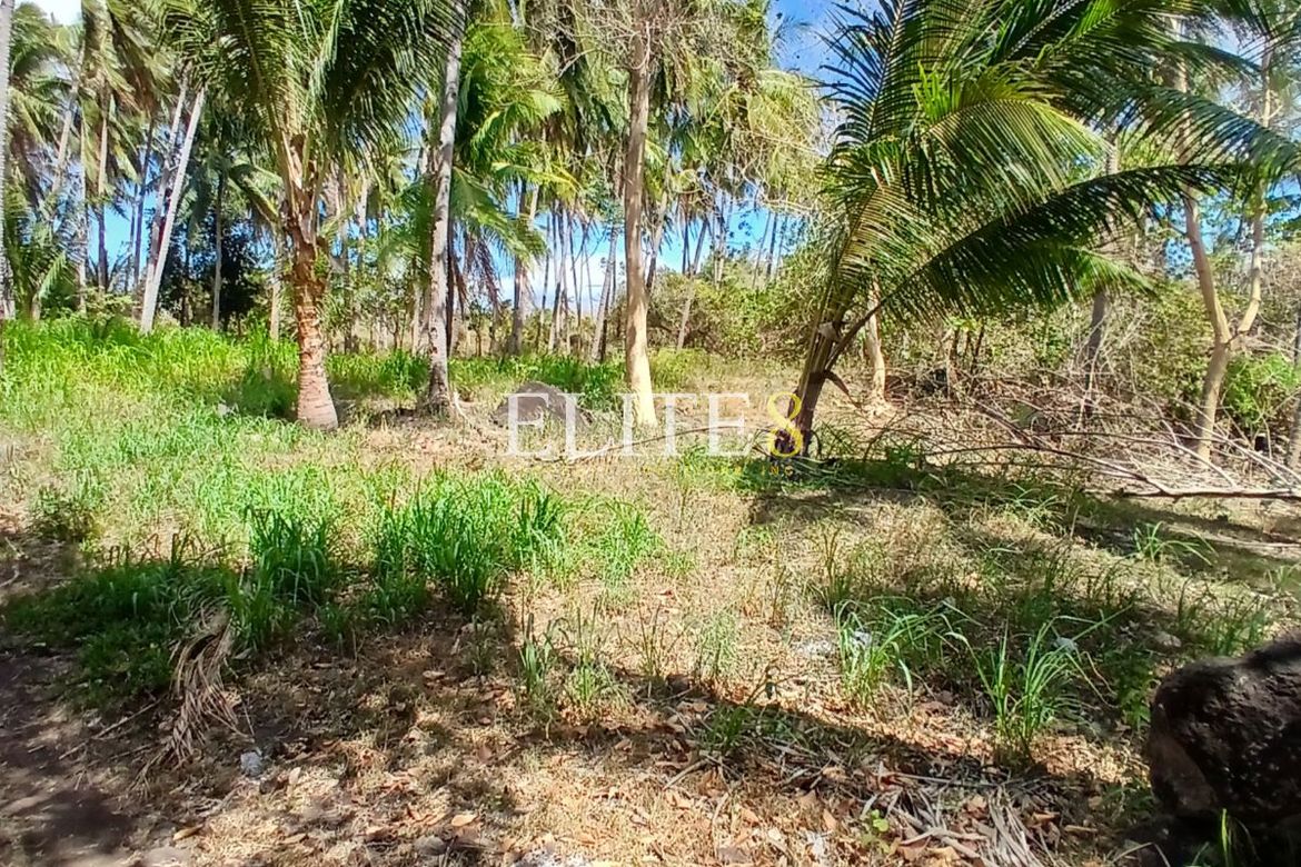 Land for Sale in Panubtuban, Dauin, Negros Oriental