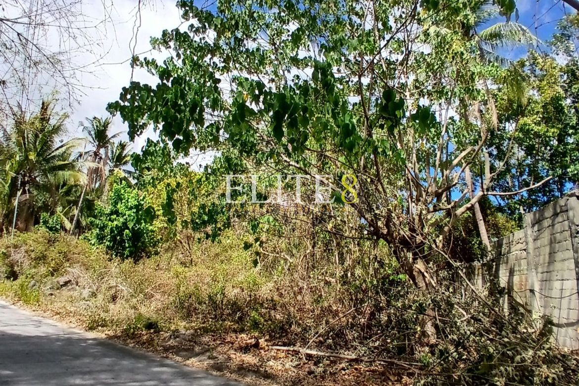 Land for Sale in Panubtuban, Dauin, Negros Oriental – photo 3