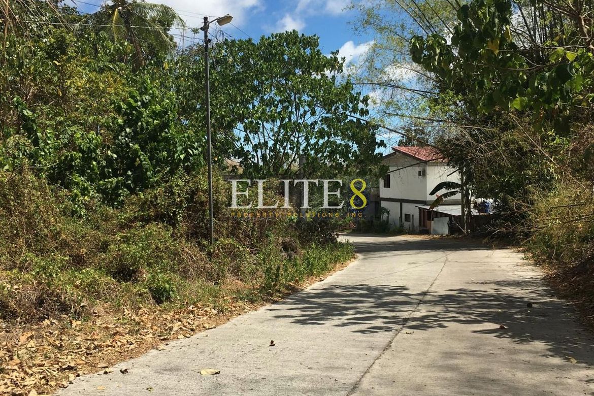 Land for Sale in Panubtuban, Dauin, Negros Oriental – photo 6