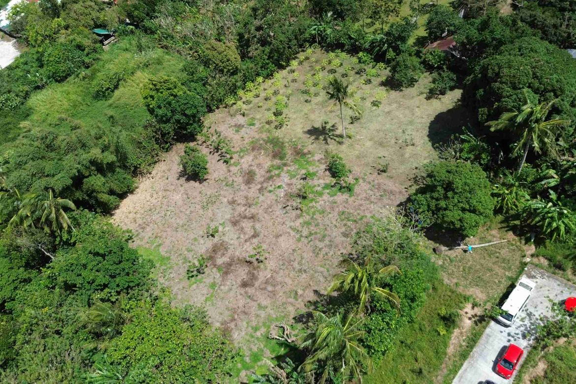 Land for Sale in Panungyan I, Mendez, Cavite – photo 2