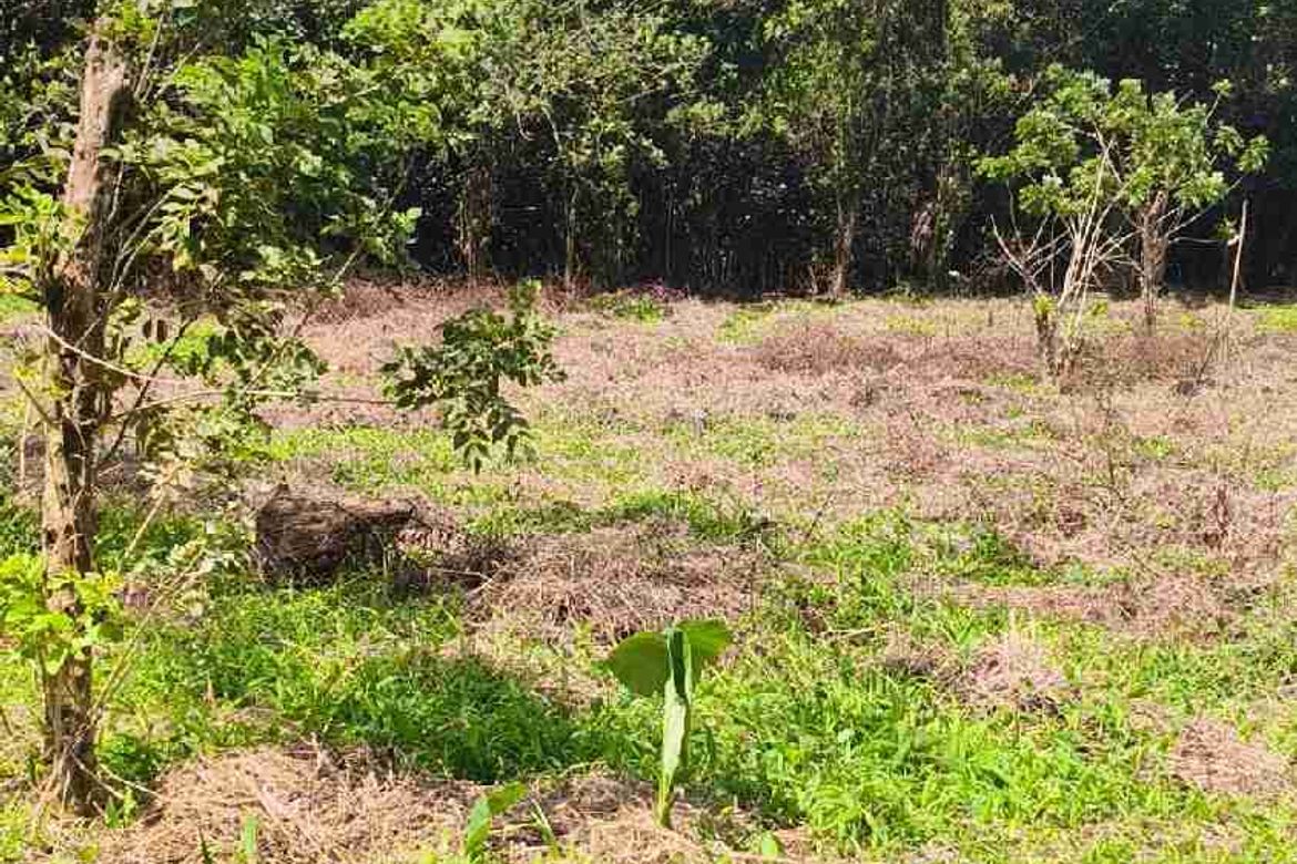 Land for Sale in Panungyan I, Mendez, Cavite – photo 4