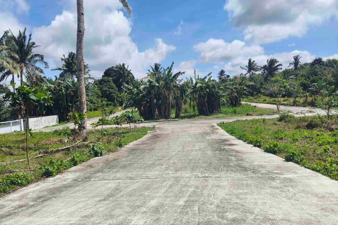 Land for Sale in Panungyan I, Mendez, Cavite – photo 7