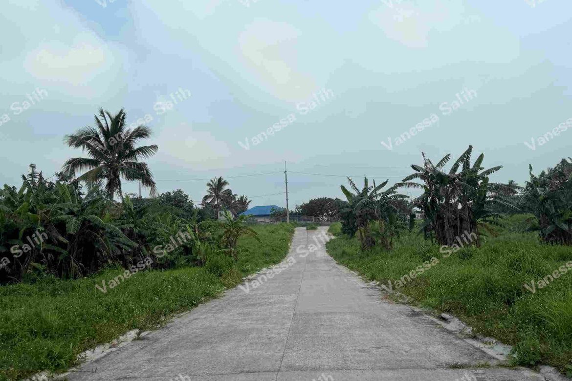 Land for Sale in Panungyan I, Mendez, Cavite – photo 6